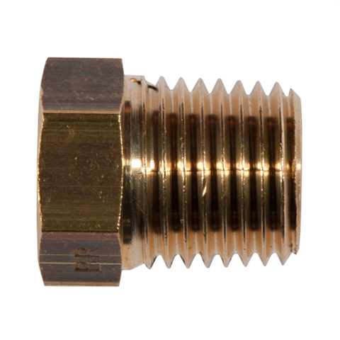 Hexagon Plug R1/8  Brass AD HP 40-1/8