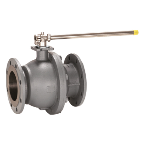 52008670 Flange Ball valve